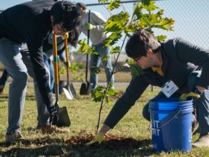 Two Brasfield & Gorrie employees are planting a tree in a grassy area using a shovel and a blue bucket. A sturdy fence stands in the background, framing their scene of growth and collaboration.