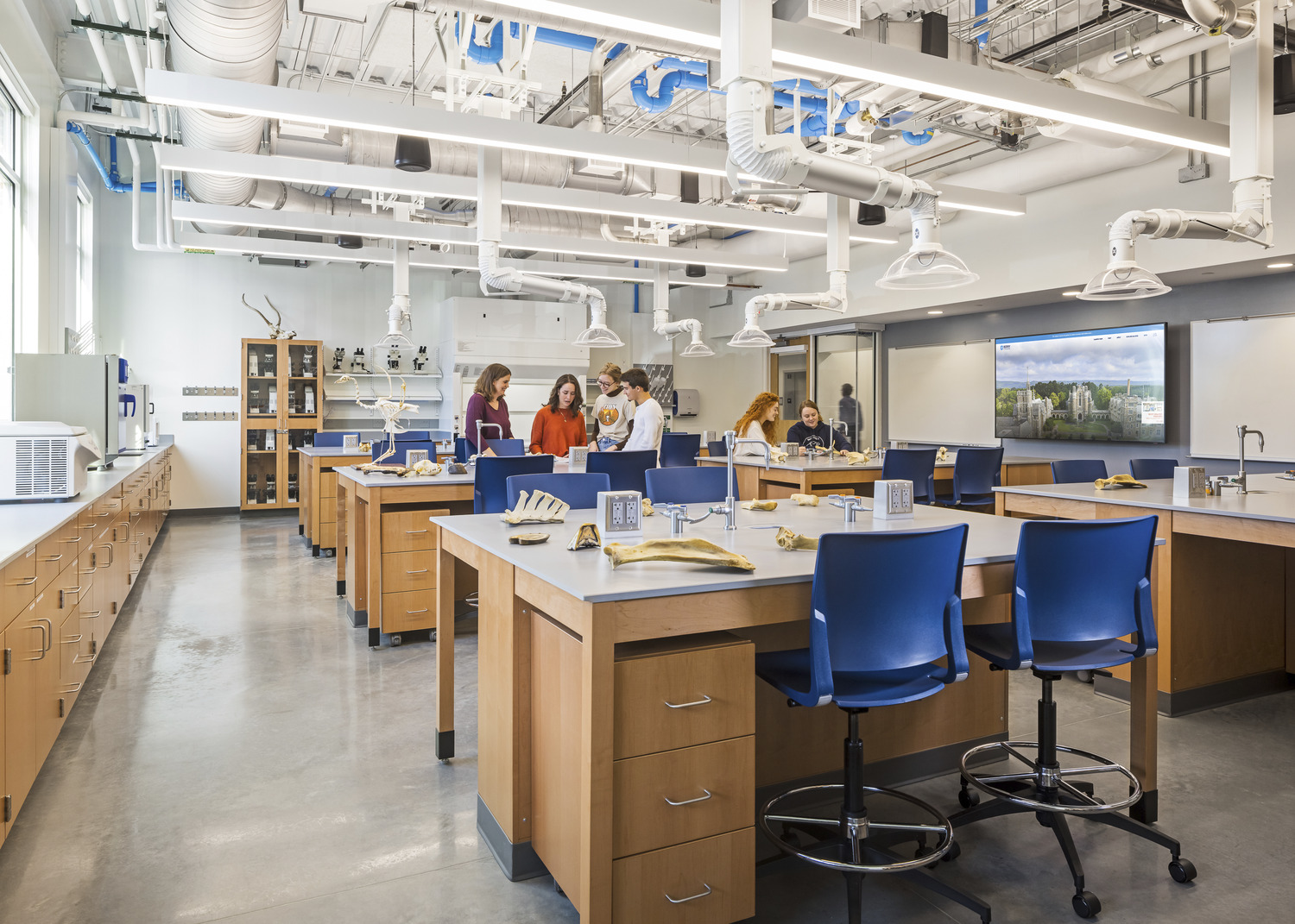 Anatomy & Physiology Teaching Lab – This lab is used to study the anatomy & physiology of animals. Being at Berry, they study animals such as cows, pics, and even horses to understand the skeletal structure and how bones interact with each other and the entire system at large. 